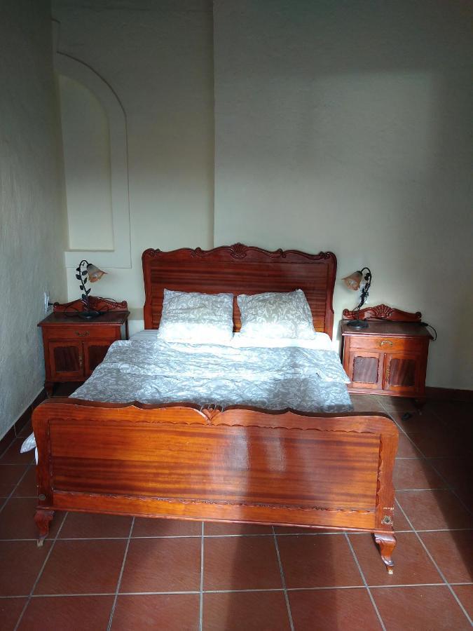 Palmeras Ingenio Esterno foto
