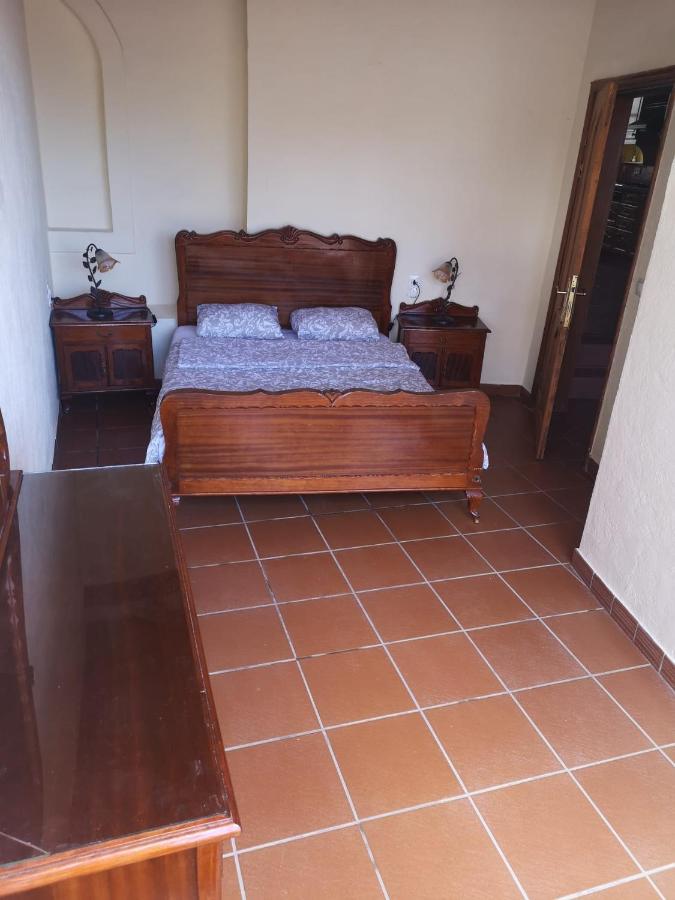 Palmeras Ingenio Esterno foto