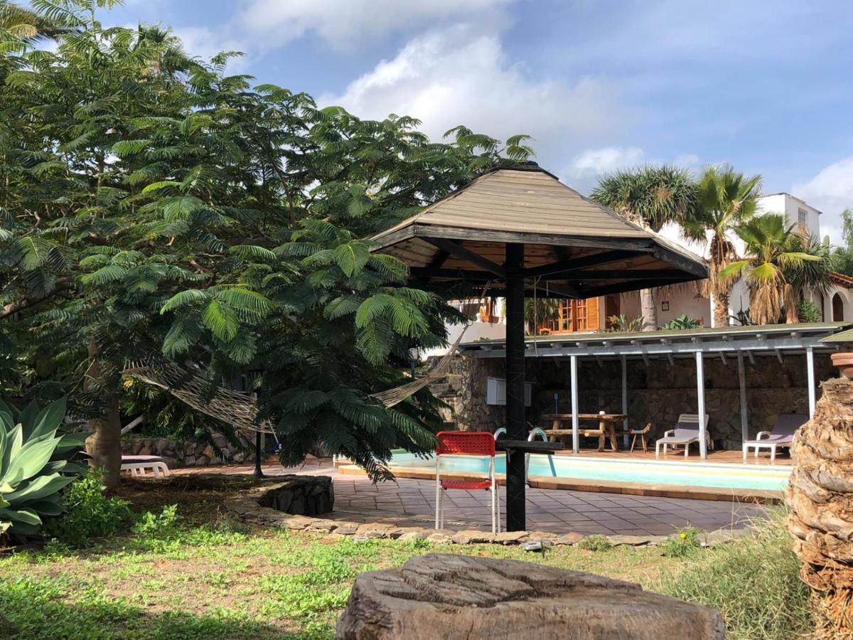 Palmeras Ingenio Esterno foto