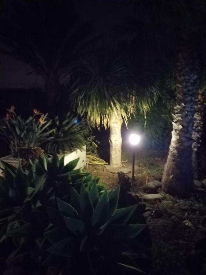 Palmeras Ingenio Esterno foto