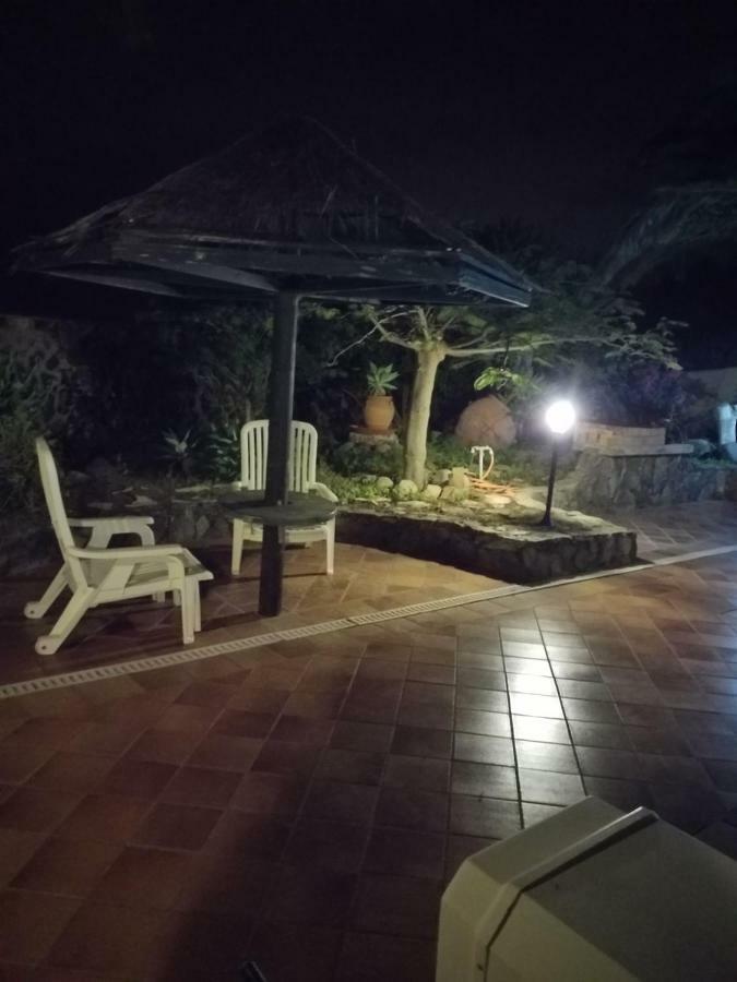 Palmeras Ingenio Esterno foto