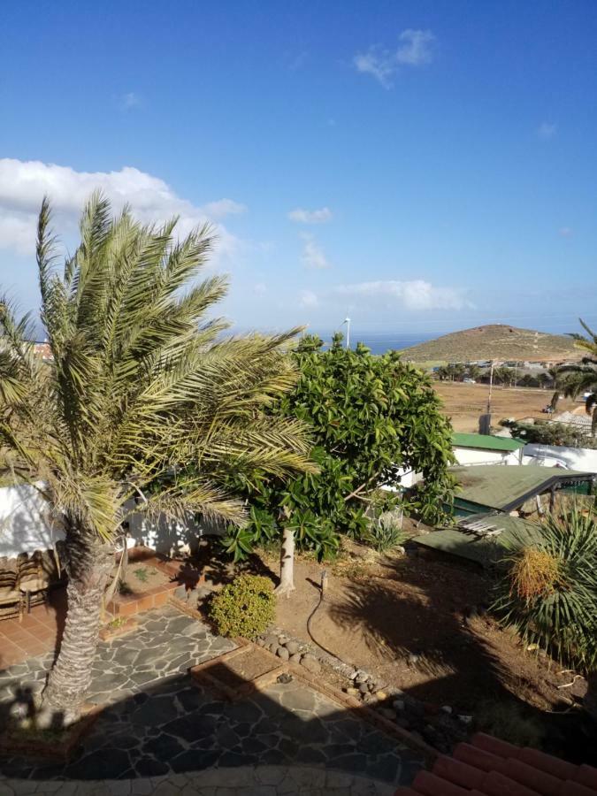 Palmeras Ingenio Esterno foto