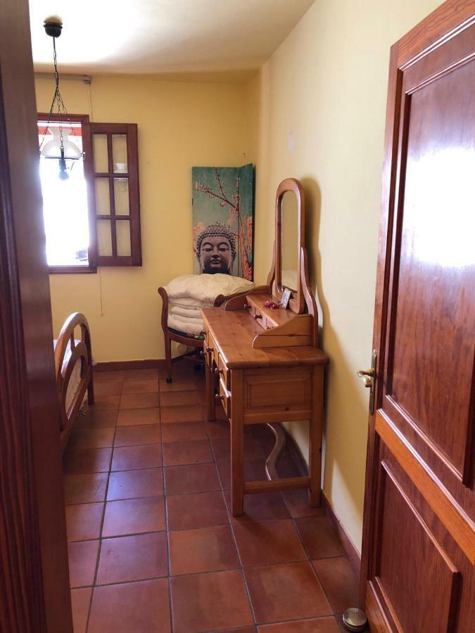 Palmeras Ingenio Esterno foto