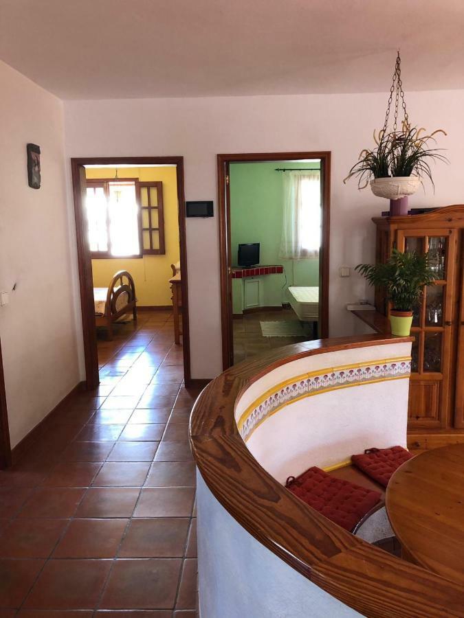 Palmeras Ingenio Esterno foto
